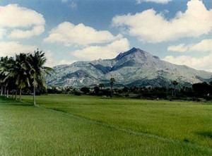 Mount Arunachala